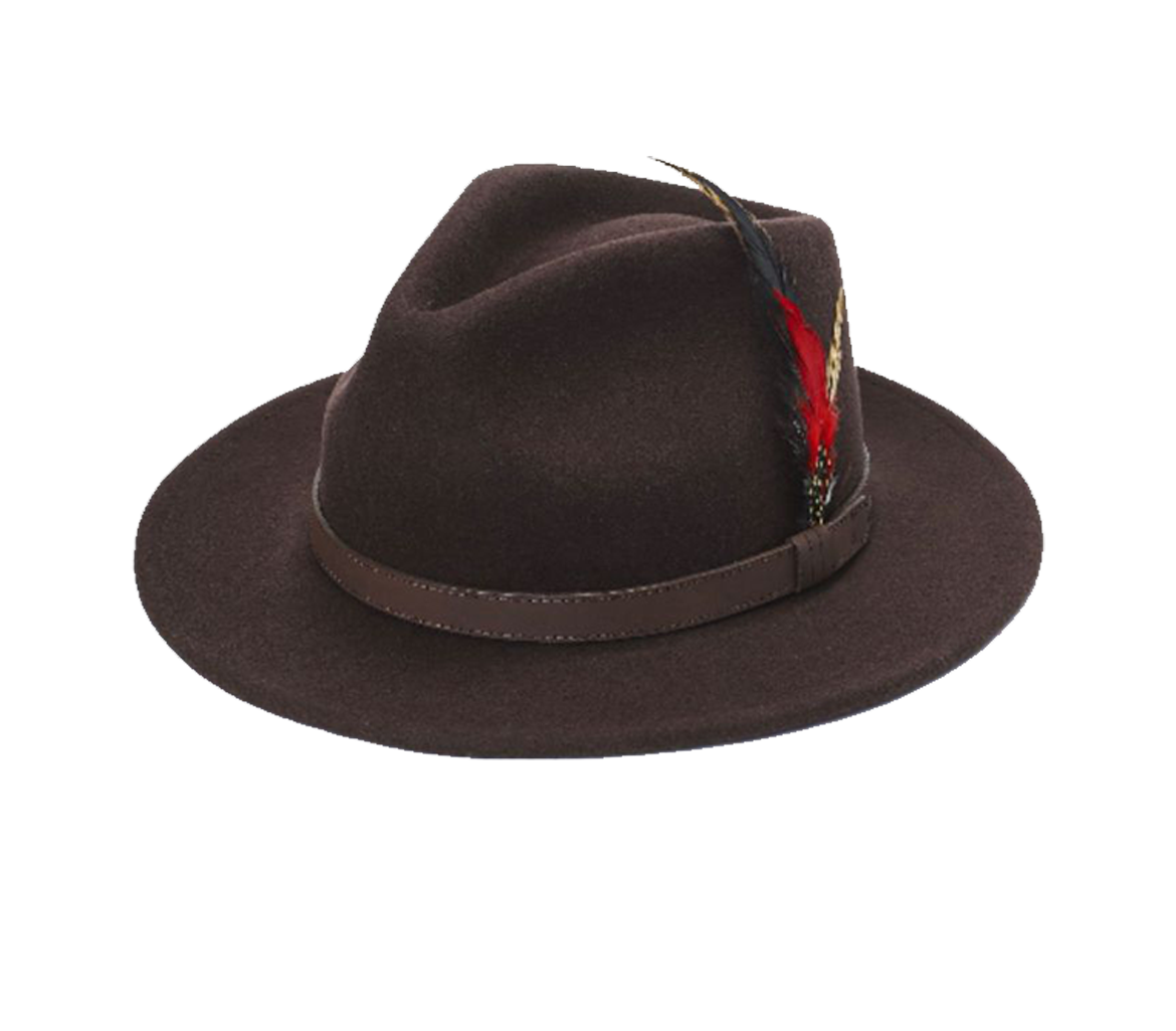 Brown Fedora Hat