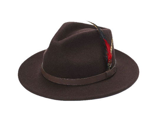 Brown Fedora Hat